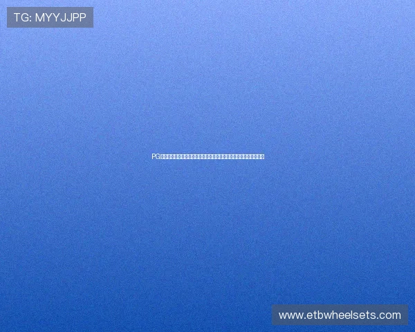 PG电子棋牌外挂辅助器的法律风险与打击措施，相关机构呼吁行业自律